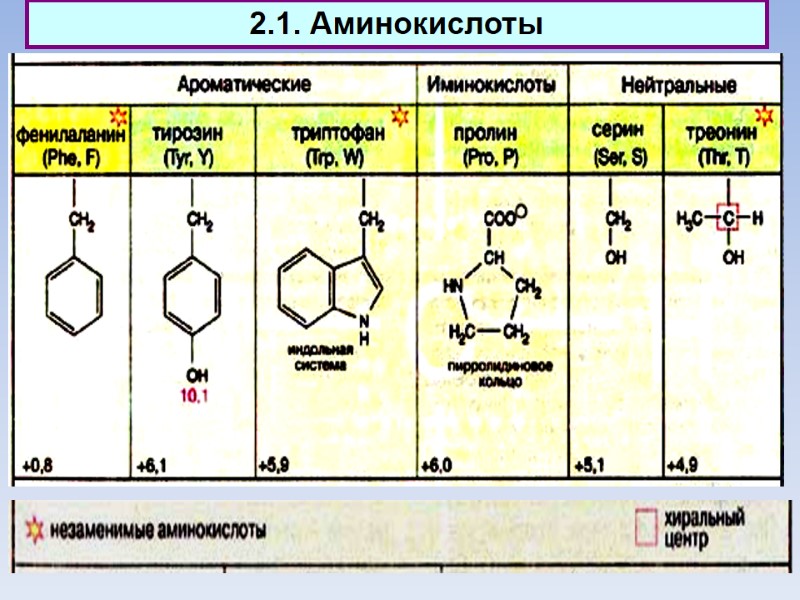 2.1. Аминокислоты